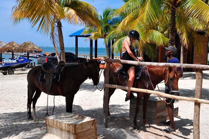 Horses Bayahibe Excursiones Bayahibe Dominicus