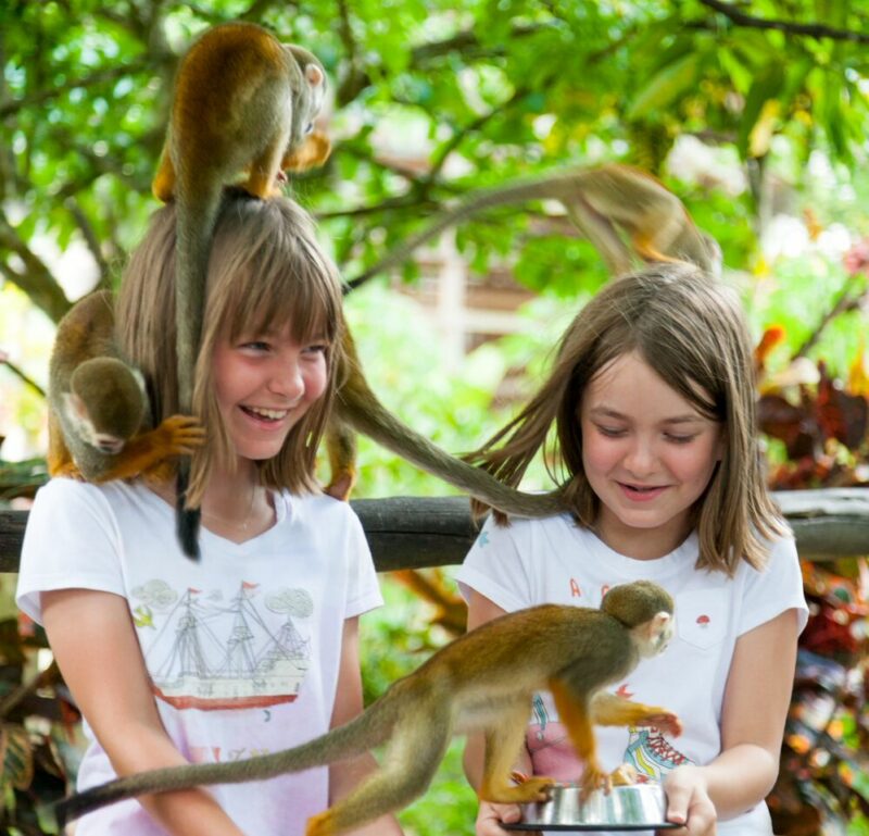 Monkeyland Excursiones Bayahibe Dominicus